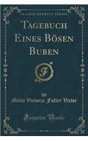 Tagebuch Eines Bösen Buben (Classic Reprint): (German)