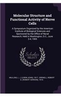 Molecular Structure and Functional Activity of Nerve Cells