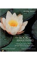 Book of Awakening