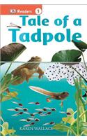 Tale of a Tadpole: (DK Readers: Level 1)