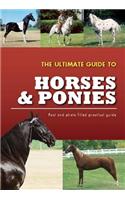 The Ultimate Guide to Horses & Ponies: (Practical Guides)