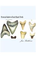 Pictorial Guide to Fossil Shark Teeth: Shark Teeth from Around the World