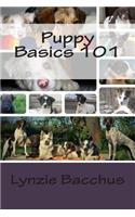 Puppy Basics 101: Bringing your new puppy home