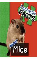 Fantastic Facts about Mice
