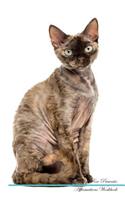 Devon Rex Affirmations Workbook Devon Rex Presents: Positive and Loving Affirmations Workbook. Includes: Mentoring Questions, Guidance, Supporting You.