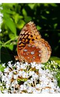 Journal Pretty Spring Butterfly White Butterfly Bush