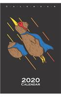 Kiwi bird and fruit flying together like Superheroes Calendar 2020