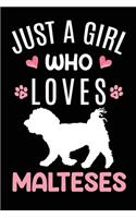 Just A Girl Who Loves Malteses: Maltese Dog Owner Lover Gift Diary - Blank Date & Blank Lined Notebook Journal - 6x9 Inch 120 Pages White Paper