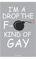 I'm A Drop The F- Kind Of Gay Lined Notebook: 6 x 9 inch lined notebook