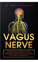 Vagus Nerve: The Missing Link To Treating Chronic Illness, Inflammation, Anxiety, Depression And Recover From Trauma (With Practical Exercises To Stimulate It An