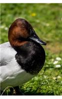 Pochard Duck Waddling on the Grass Journal: Take Notes, Write Down Memories in this 150 Page Lined Journal