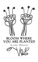 Bloom Where You are Planted