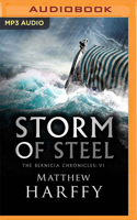 Storm of Steel