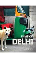 Dogs of Delhi