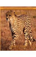 Cheetah