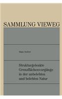 Strukturgelenkte Grenzflächenvorgänge in der unbelebten und belebten Natur