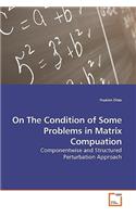 On The Condition of Some Problems in Matrix Compuation