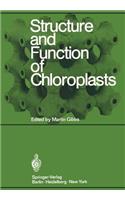 Structure and Function of Chloroplasts