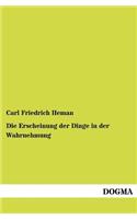 Die Erscheinung der Dinge in der Wahrnehmung