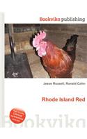 Rhode Island Red