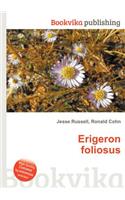 Erigeron Foliosus: (English)