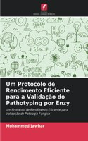 Um Protocolo de Rendimento Eficiente para a Validação do Pathotyping por Enzy