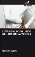 Litiasi Da Acido Urico Nel Sud Della Tunisia