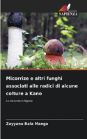Micorrize e altri funghi associati alle radici di alcune colture a Kano