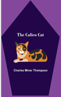 Calico Cat