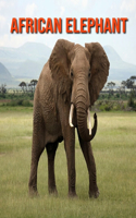 African elephant: Amazing Pictures & Fun Facts on Animals in Nature