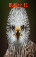 Black kite