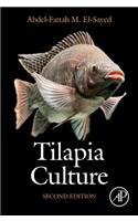 Tilapia Culture