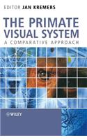 The Primate Visual System - A Comparative Approach