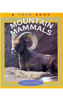 Mountain Mammals