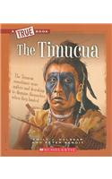 The Timucua
