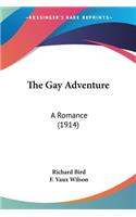 Gay Adventure