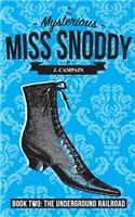 Mysterious Miss Snoddy