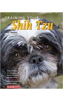 Training Your Shih Tzu
