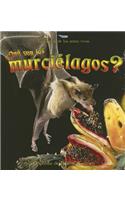 ¿Qué Son Los Murciélagos? (What Is a Bat?)