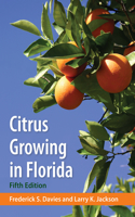 Citrus Growing In Florida