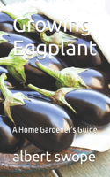 Growing Eggplant