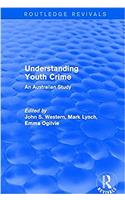 Understanding Youth Crime