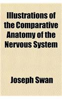 The Comparative Anatomy of the Nervous System