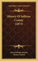 History Of Sullivan County (1873)