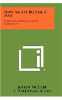 How an Ape Became a Man: Twenty Million Years of Evolution(English)