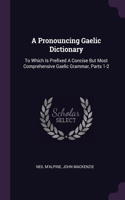 Pronouncing Gaelic Dictionary