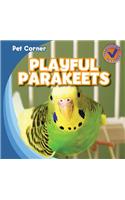 Playful Parakeets: (Pet Corner)