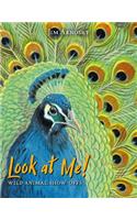 Look at Me!