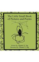 The Little Small Book of Pictures and Poems