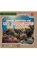 Viaje Dentro de Un Arrecife de Coral (a Trip Through a Coral Reef)